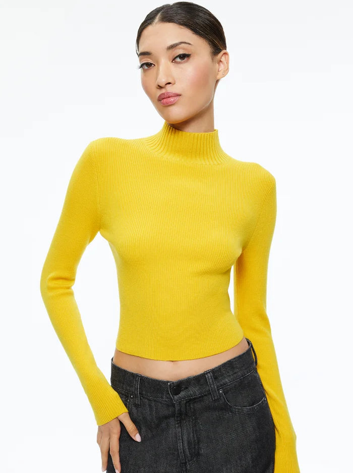 women's tops for those who want to stay on top of the latest fashion trends and wear pieces that are both stylish and on-trendSenaida Cropped Mock Neck Pullover - Tuscany